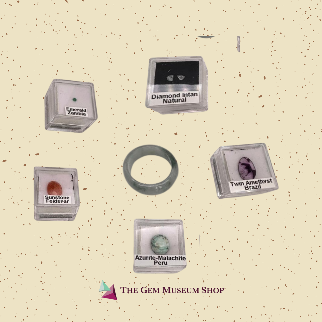 Examples of specimens in the discovery bag selection