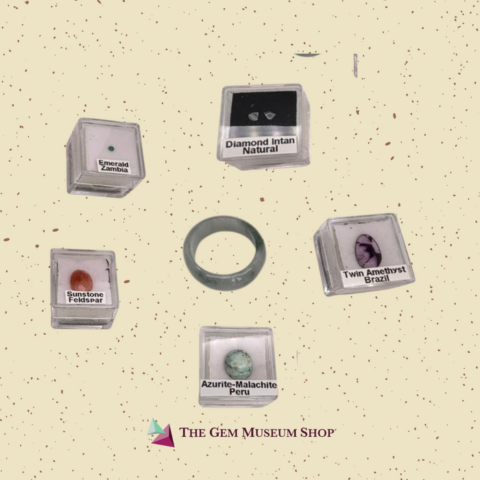 Examples only; each bag contains one specimen